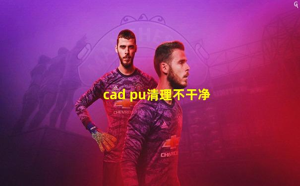 cad pu清理不干净